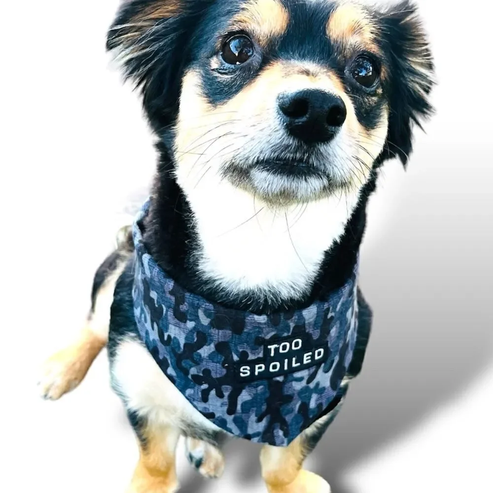 Spoiled in Camo Dog Bandana Black